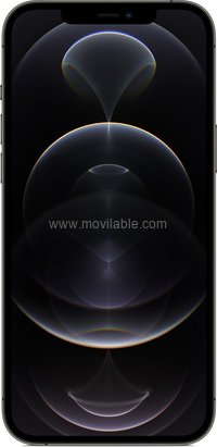 Apple iPhone 12 Pro Max